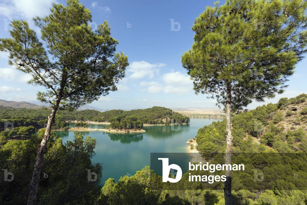 Conde de Guadalhorce reservoir, Malaga Province, Spain, 2020 (photo)