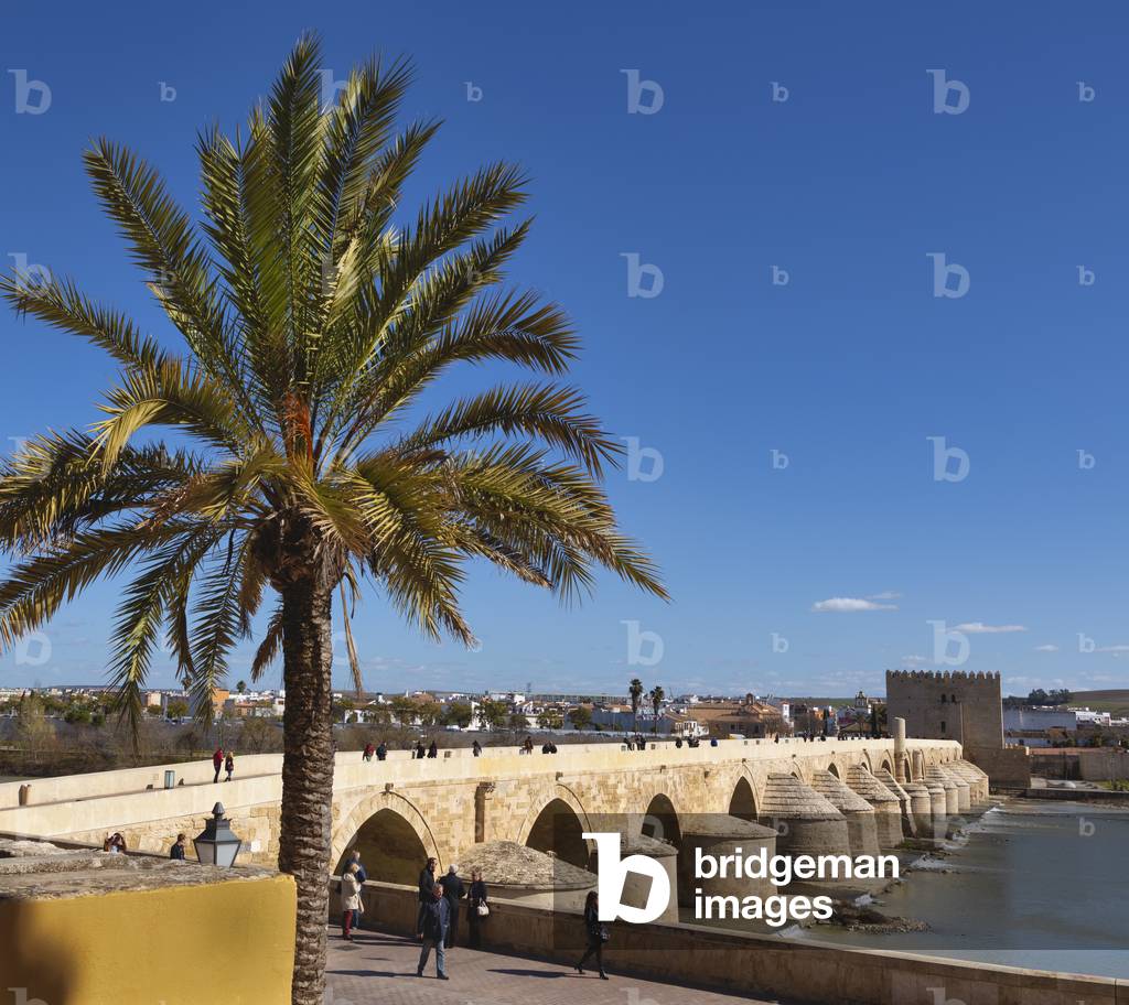 Cordoba, Spain, Roman bridge, 2016 (photo)
