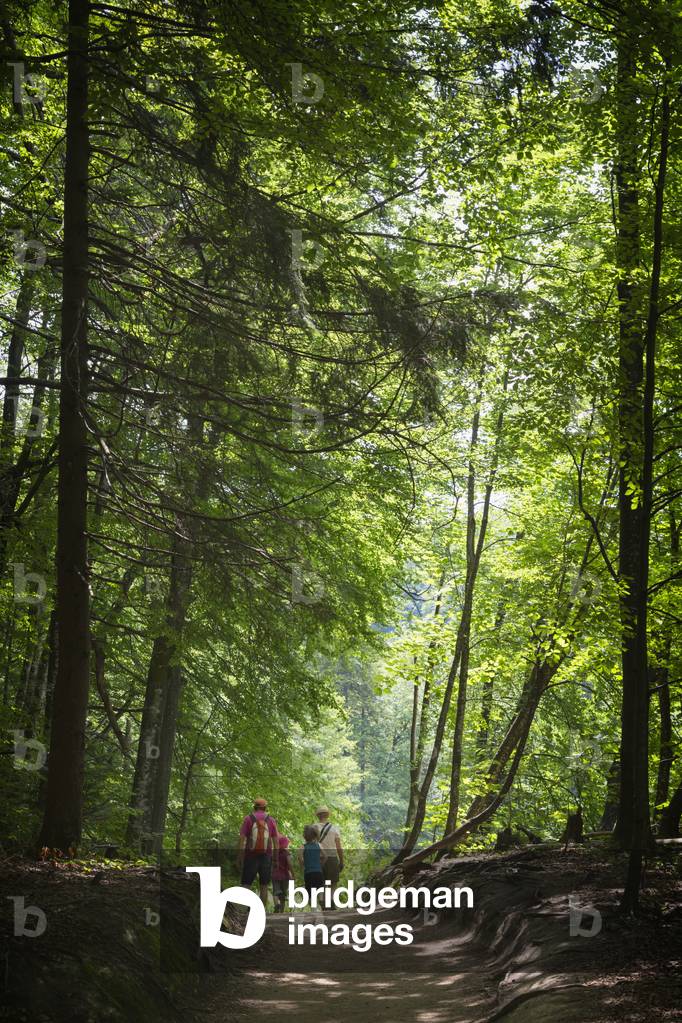 Visitors strolling on dirt trail in the park, Plitvice Lakes National Park, Lika-Senj County & Karlovac County, Croatia (photo)