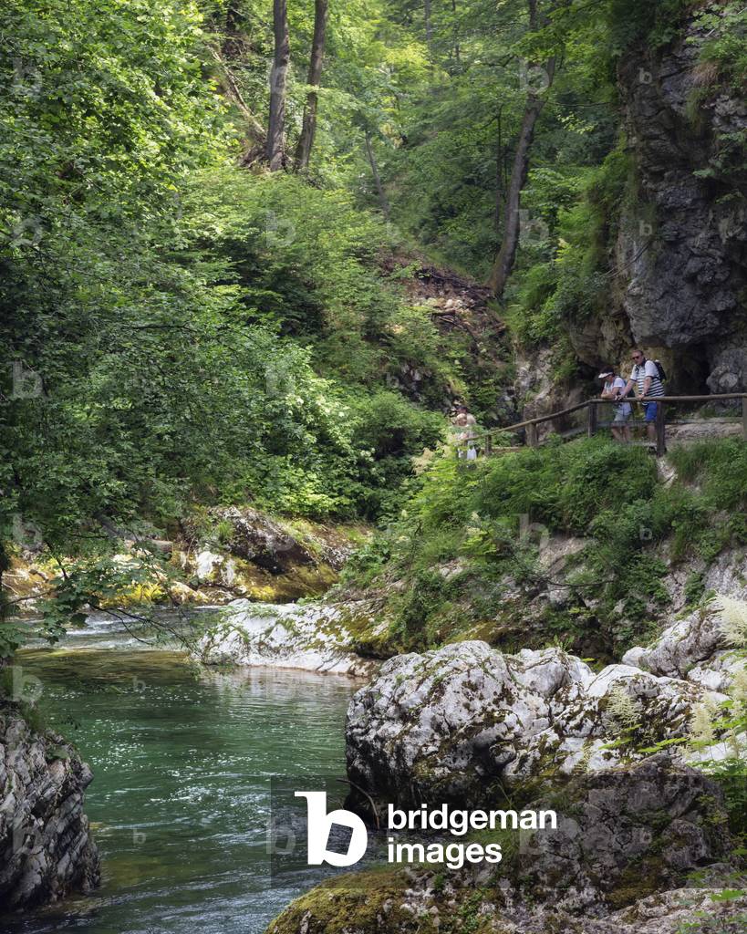 Vintgar Gorge, Slovenia (photo)