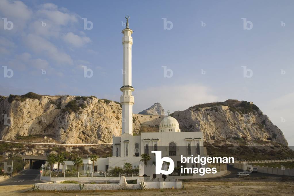 Mosque of the Custodian of the Two Holy Mosques (photo)