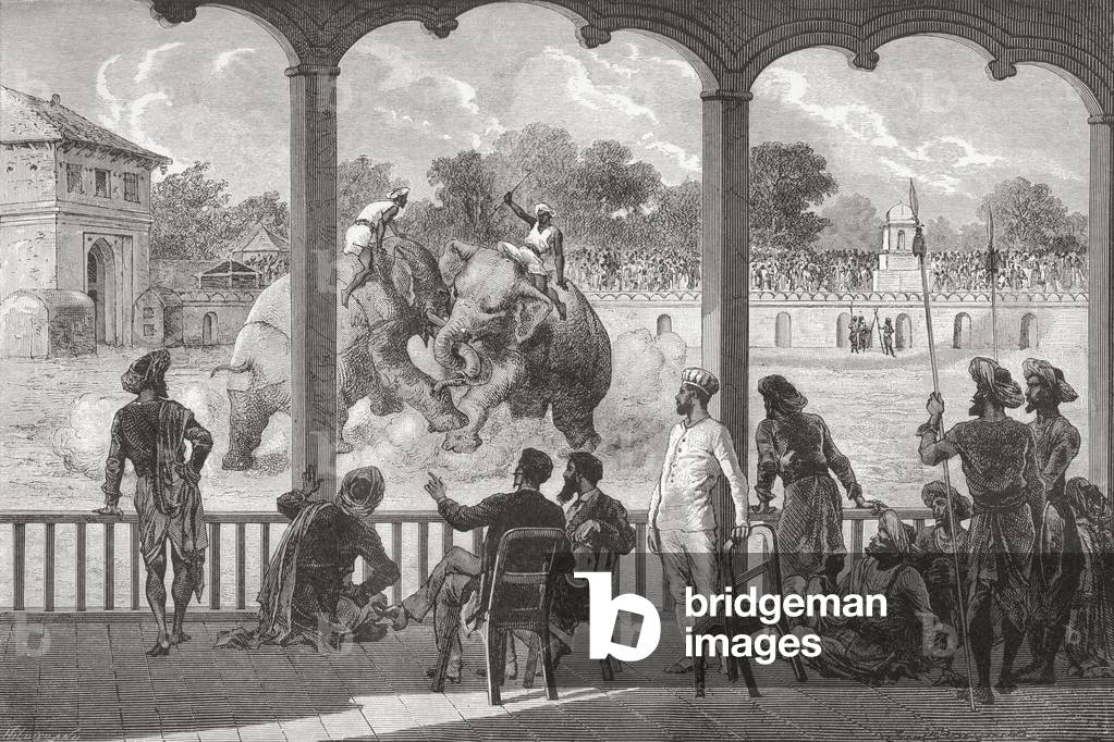 An elephant fight, Baroda, India in the 19th century.