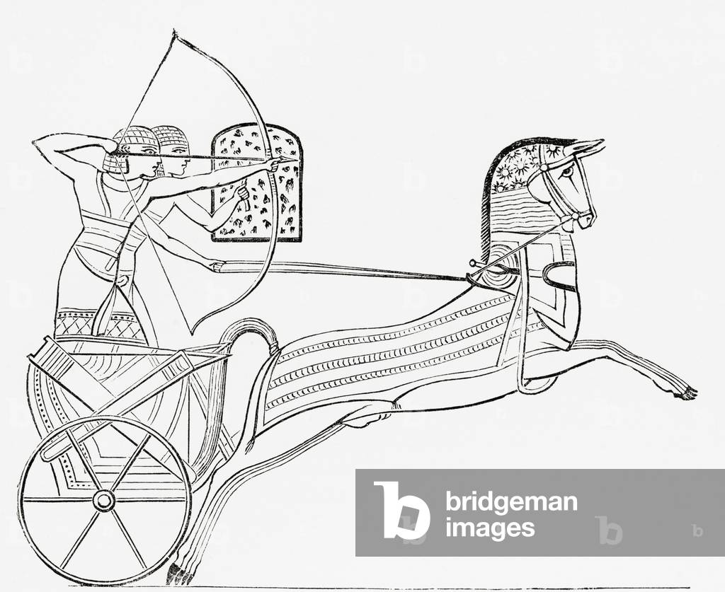Egyptian war chariot.