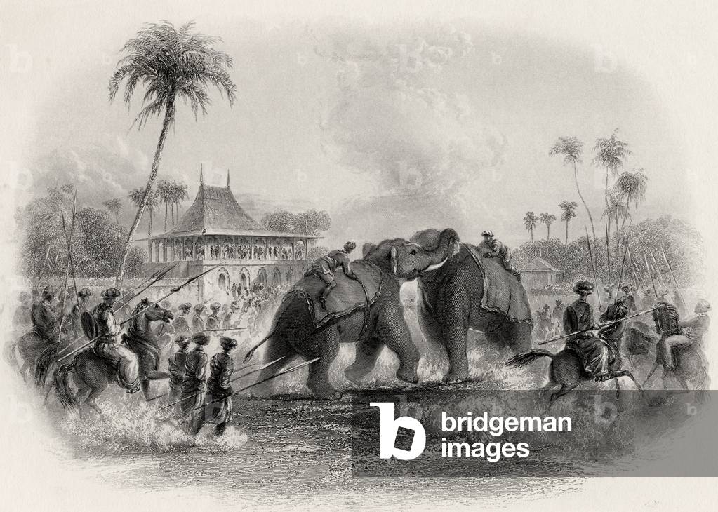An Elephant Fight (line engraving)