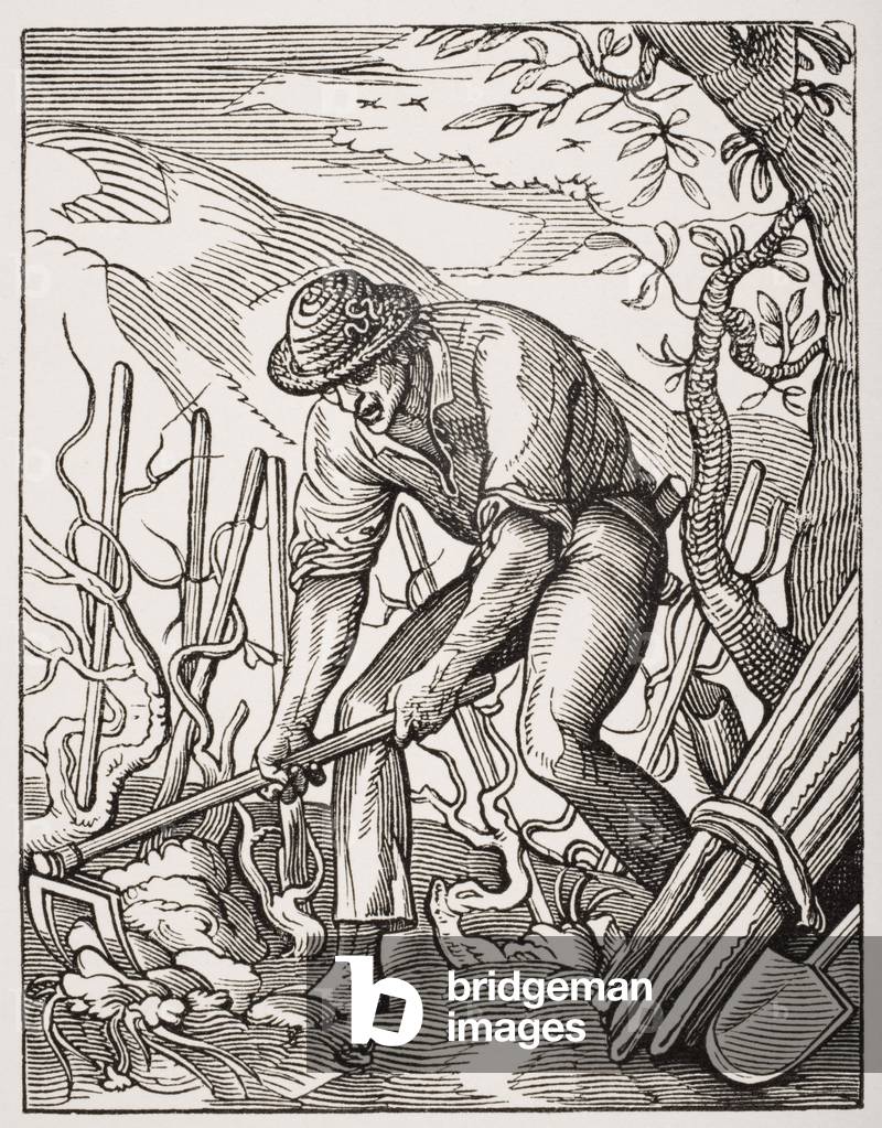 The wine grower, after an engraving by Jost Amman (1539-91) from 'Le Moyen Age et La Renaissance' by Paul Lacroix (1806-84) published 1847 (litho)