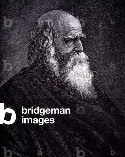 William Cullen Bryant (engraving)