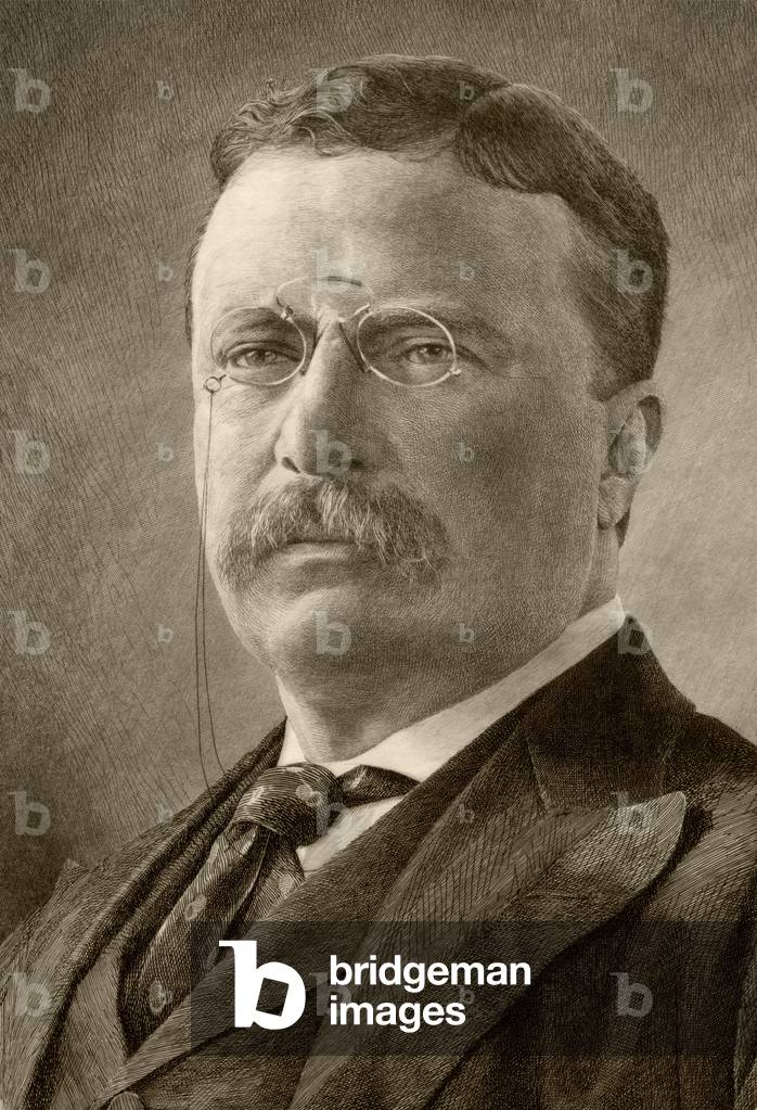 Theodore Roosevelt (litho)