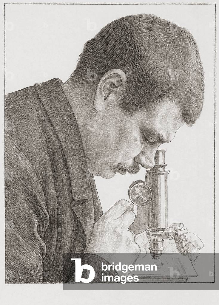 Tiberius Cornelis Winkler Dutch anatomist
