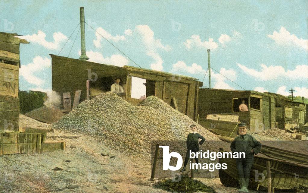 The cockle sheds in the old town, Leigh-on-Sea, Essex, England (colour litho)