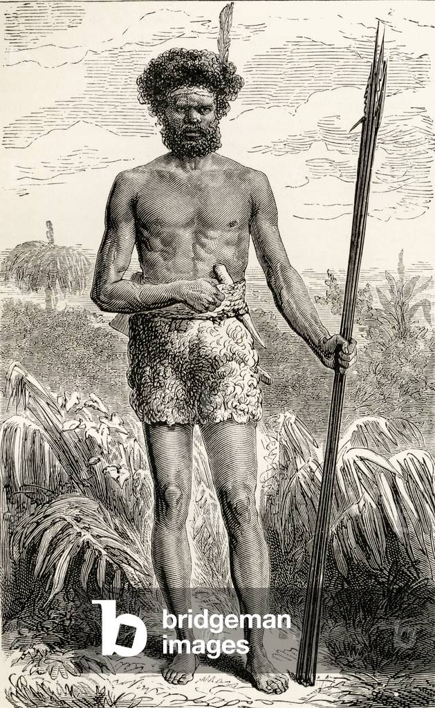 Illustration from 'Journal of Researches' by Charles Darwin (1809-82) published London 1890 (litho)