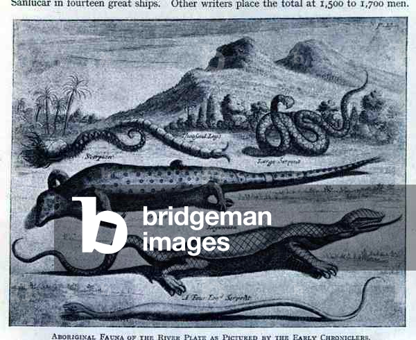 Aboriginal Fauna as pictured by the Early Chroniclers in 'Nieuhoff's Voyages', pub. in the 17th century, from 'The Romance of the River, Volume I', by W. H. Koebel, 1914 (engraving)