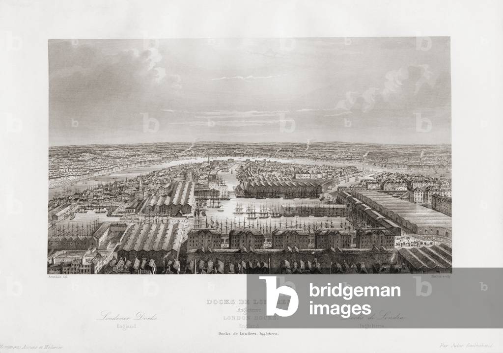 London docks mid 19th century (engraving)