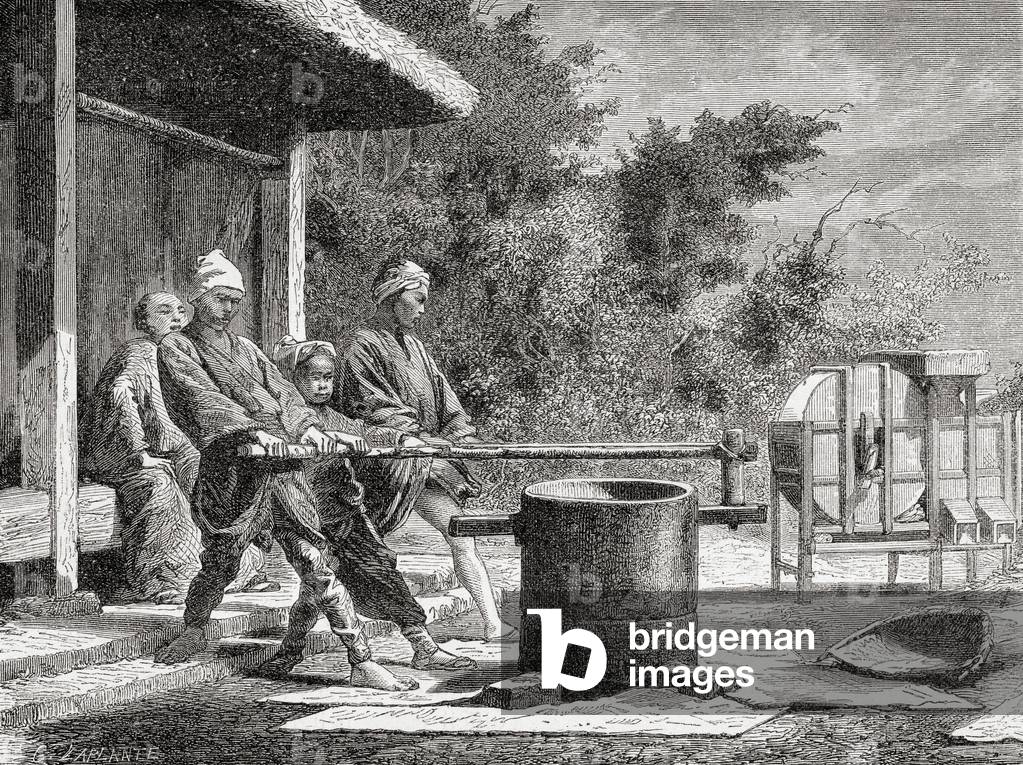 Japanese workers using a rice mill in Japan in the 19th century.