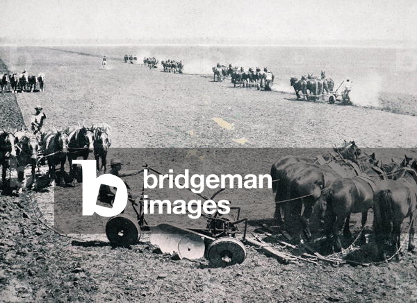 Ploughing, New South Wales, c.1900, from `Under the Southern Cross - Glimpses of Australia', published by Department of External Affairs, Melbourne, 1908 (b/w photo)