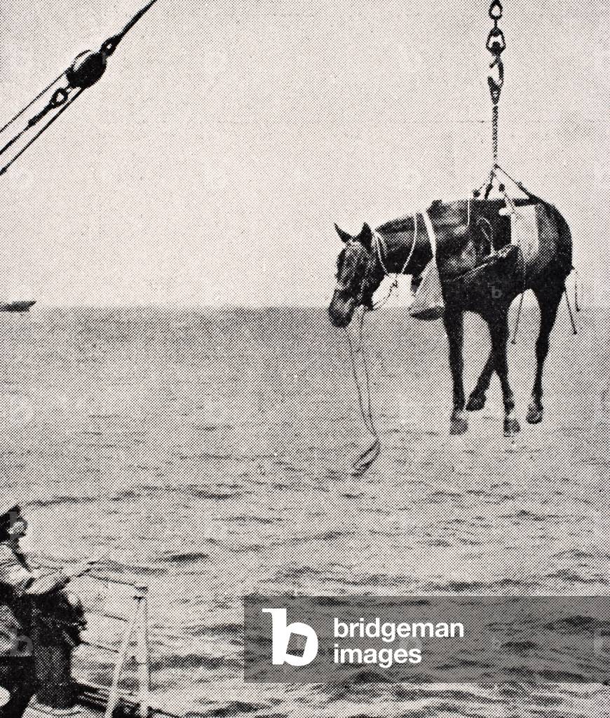 Transferring horse from ship to land in Persian Gulf, 1915, from 'The War Illustrated Album deLuxe', published in London, 1916 (litho)