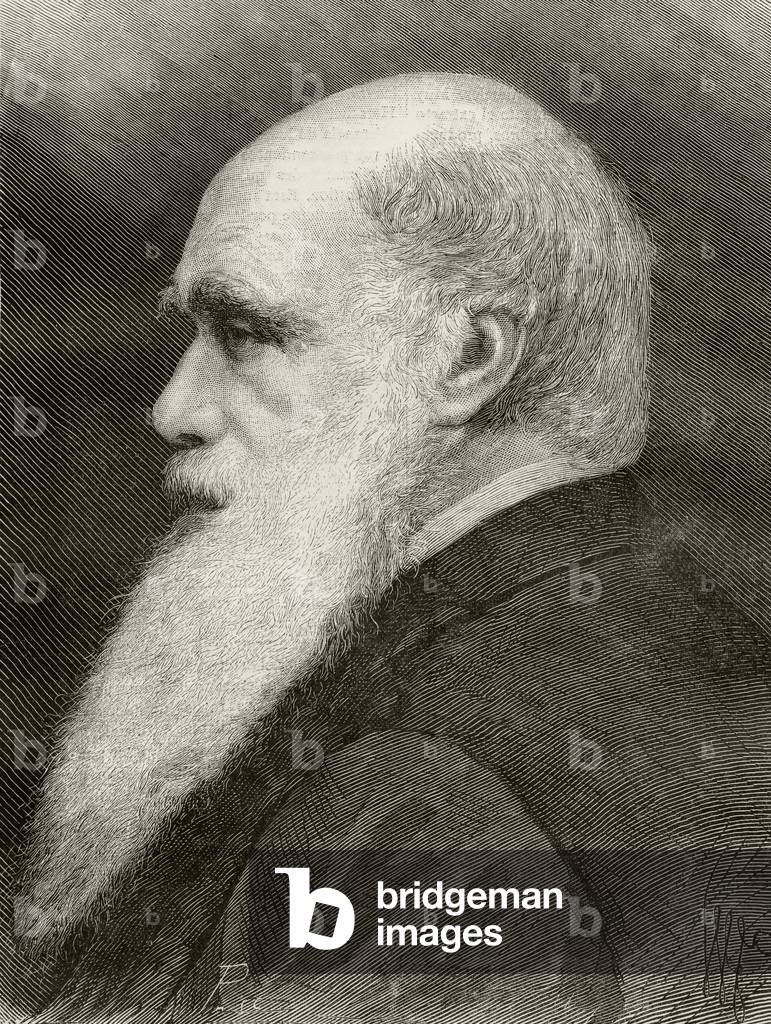 Charles Darwin, from 'Nuestro Siglo', published Barcelona, 1883 (litho)