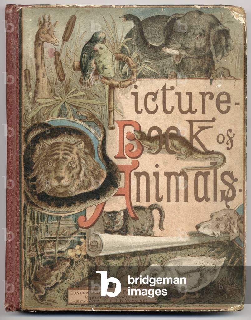 Colour cover of Picture Book of Animals by Rev. C.A. Johns, published by the Society For Promoting Christian Knowledge, London, 1886