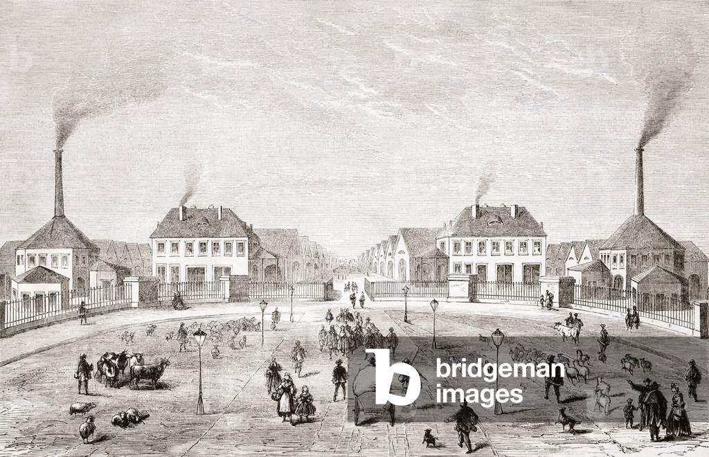 French slaughterhouses or abattoirs in the late 19th century (engraving)