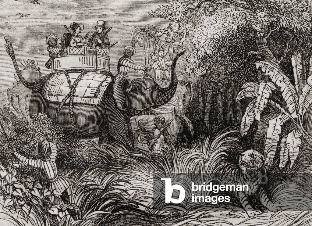 Hunting tigers in India