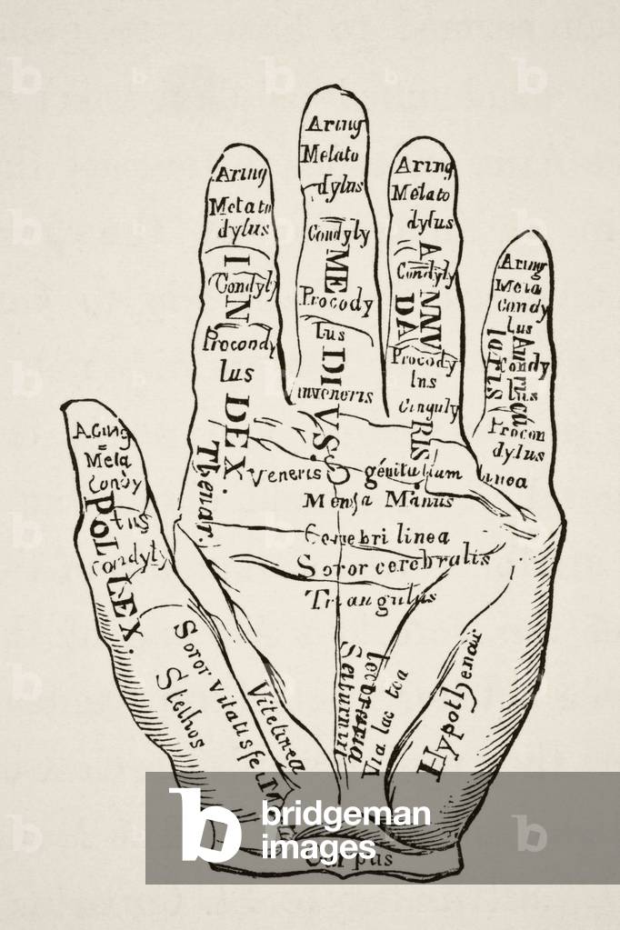 Specimen of the left hand with the lines and their horoscopic denominations, from Science and Literature in The Middle Ages by Paul Lacroix pub. London 1878