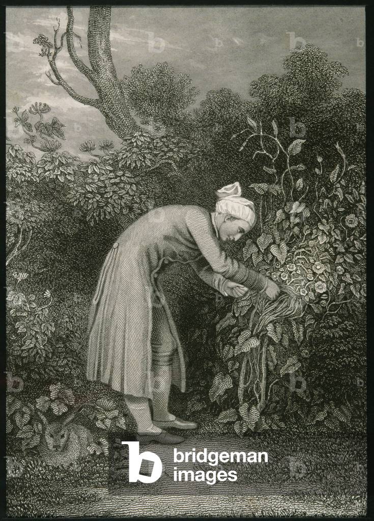 William Cowper (1731-1800) (engraving)