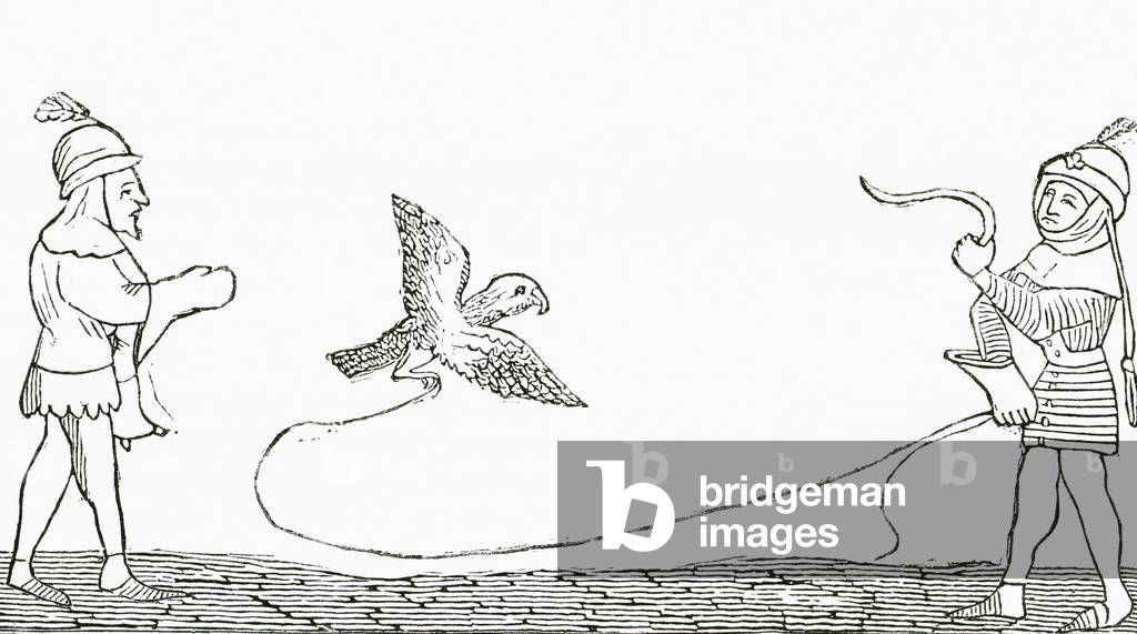 Falconry in the middle ages (engraving)