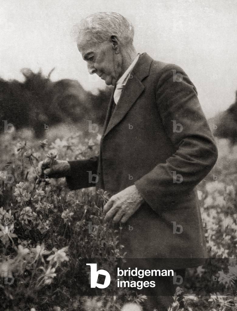 Luther Burbank, from Master Minds of Modern Science, published 1930 (b/w photo)