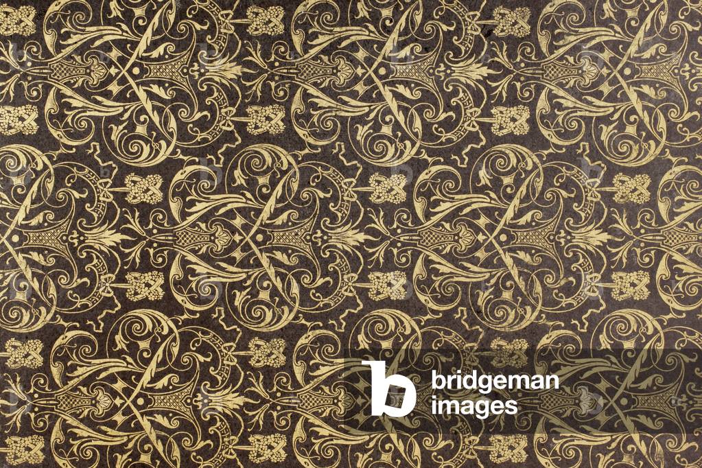 End paper from a book published by Firmin Didot of Paris (paper)