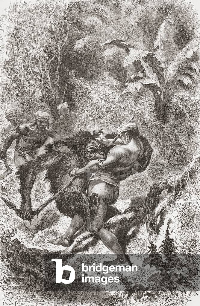 A Dayak native from Borneo fighting with an orangutan, from 'El Mundo en la Mano', published 1878 (litho)