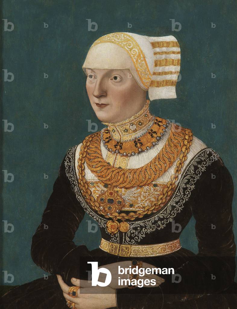 Portrait of a Woman, 1510 (oil on panel)
