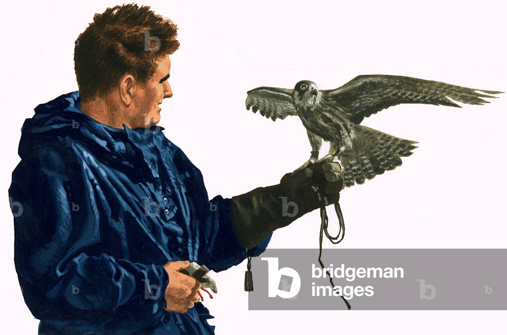 Man holding a bird of prey