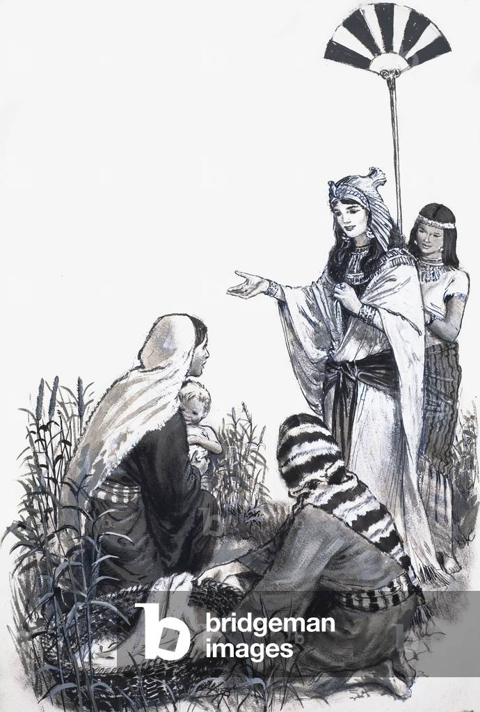 Mose in den Stierkämpfen