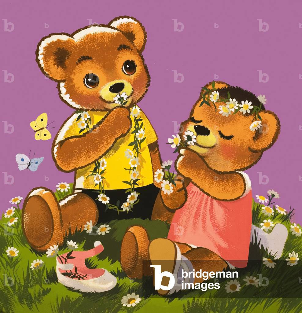 Teddy Bear