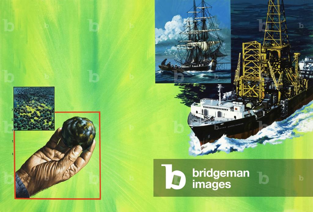 Science Survey: The Sea Bed Bonanza