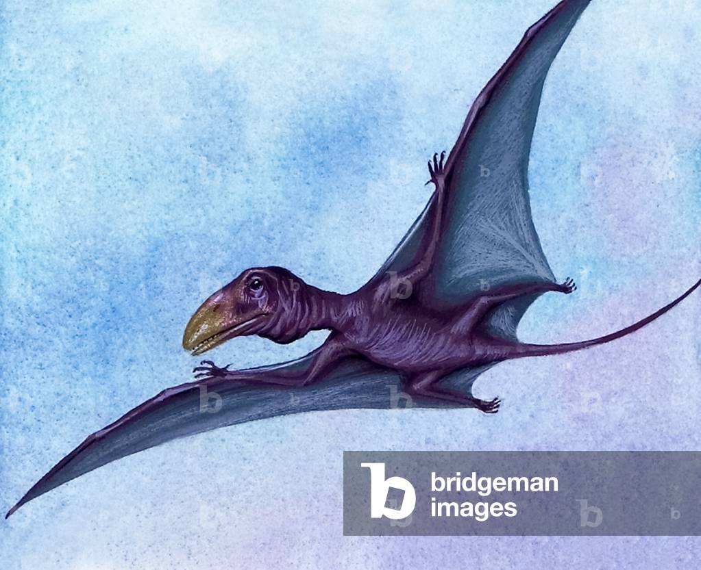 Prähistorischer Vogel