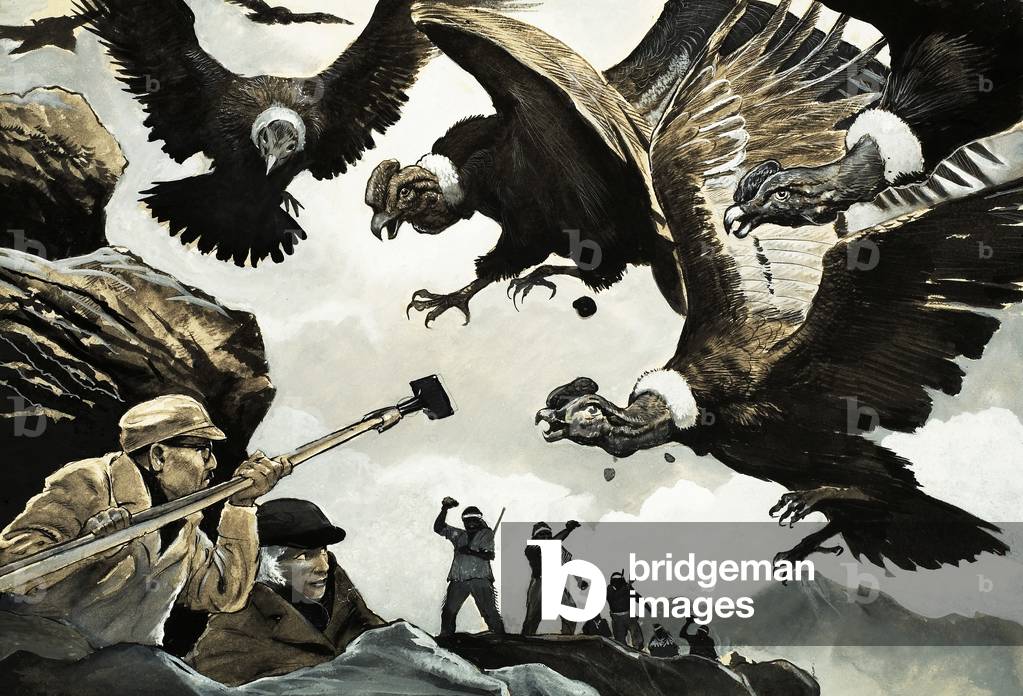 Armand and Michaela Denis attacked by condors (gouache on paper)