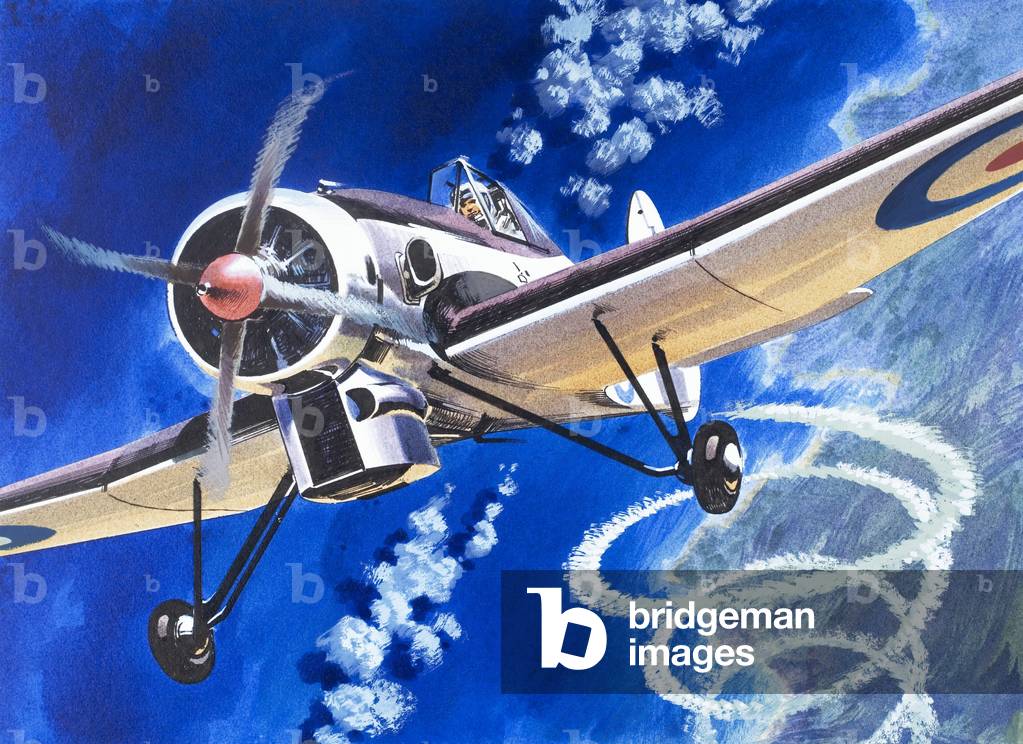 Immagine di Dipinto "Into the Blue: The High Flyers", 20th Secolo di Wilf Hardy