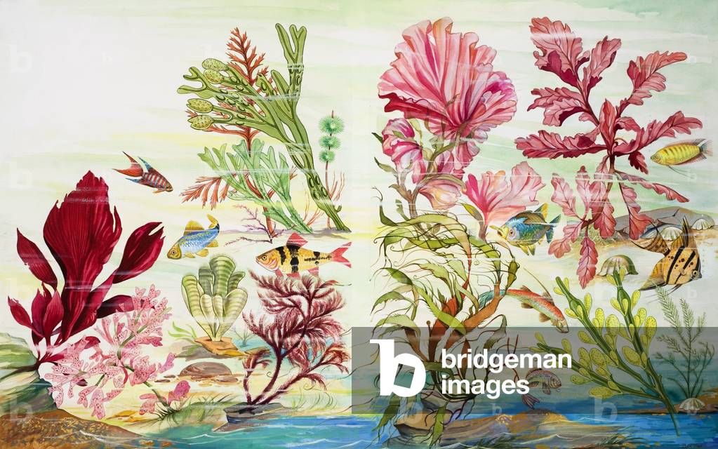 Underwater Plants (gouache on paper)