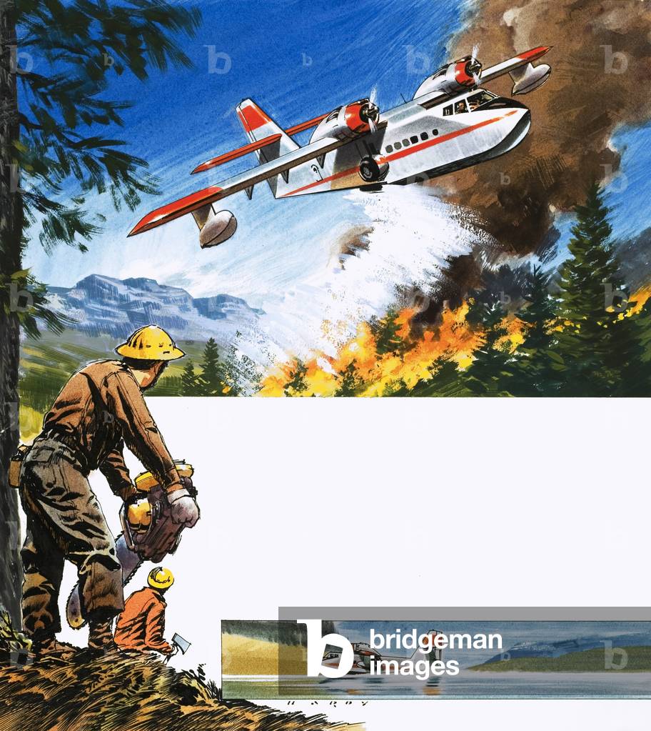 Into the Blue: The Water Bomber
