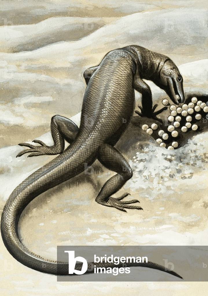 Against All Odds: The Battle to be Born