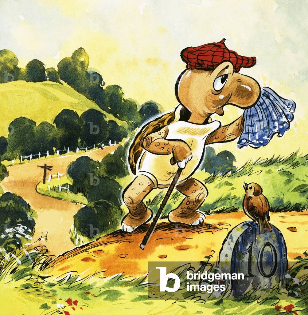 Schildkröte macht einen Spaziergang auf dem Land