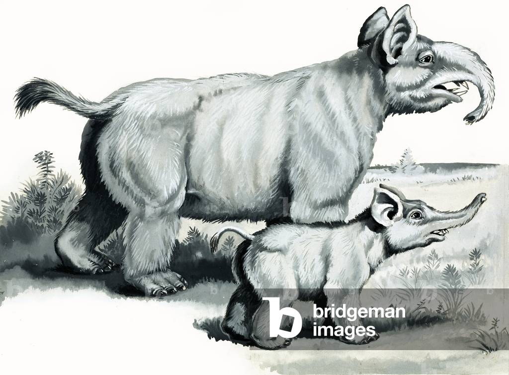 Our Drifting World: The Island Continent