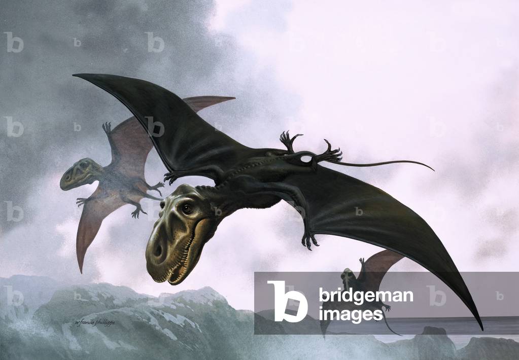 Dimorphodon
