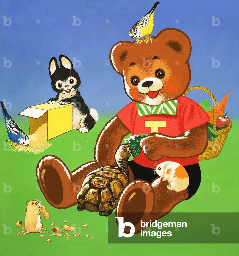 Teddy Bear