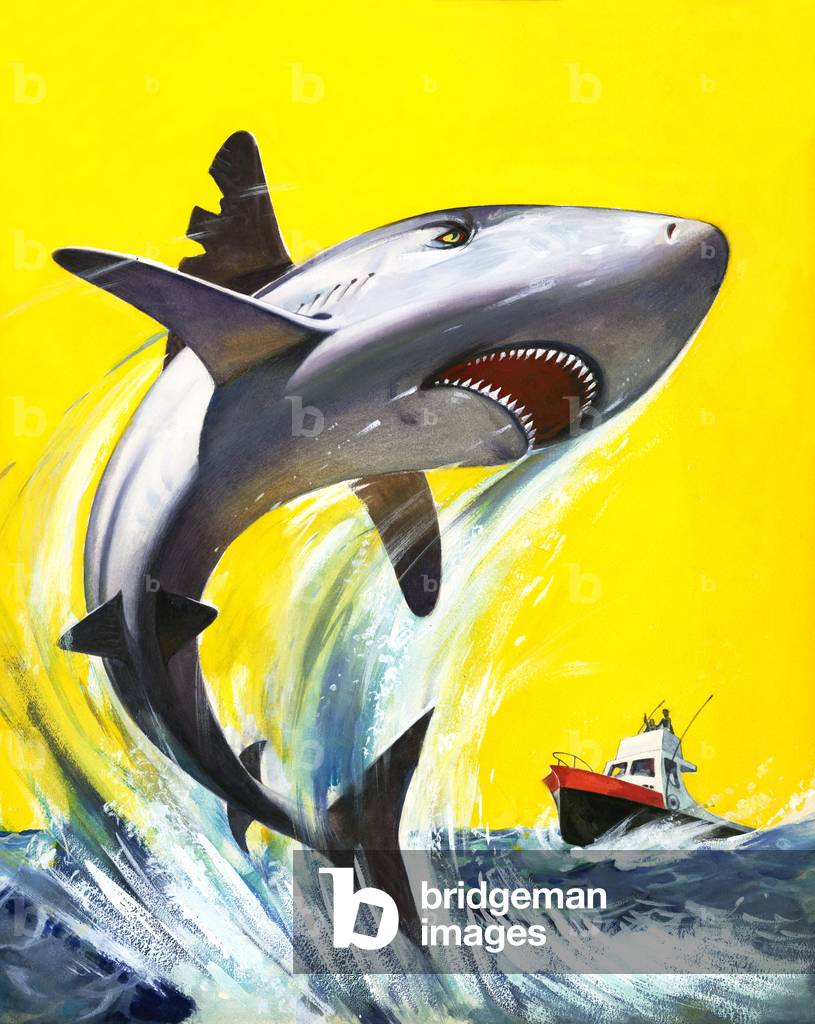 Shark (gouache on paper)