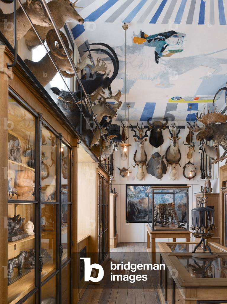 Le Musée de la Chasse et de la Nature, Paris, France, 2007 (photo)