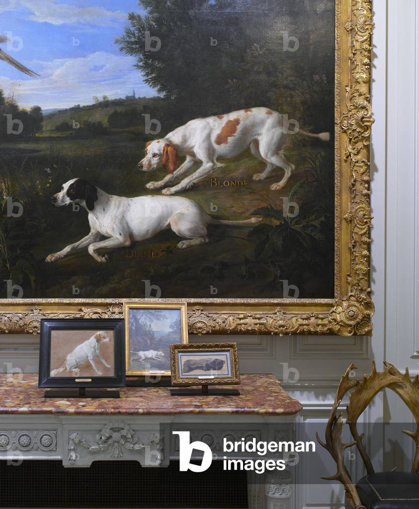 Le Musée de la Chasse et de la Nature, Paris, France, 2007 (photo)