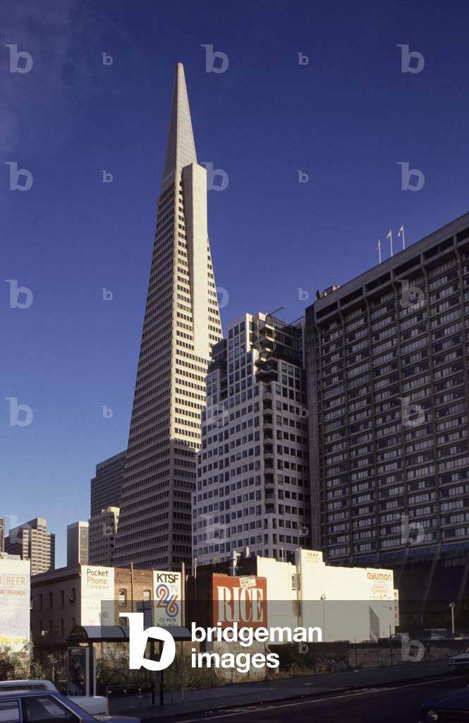 The Transamerica Pyramid in San Francisco, California (United States). Architect William Pereira (1909-1985), realisation 1969-1972. Photography 01/08/96.