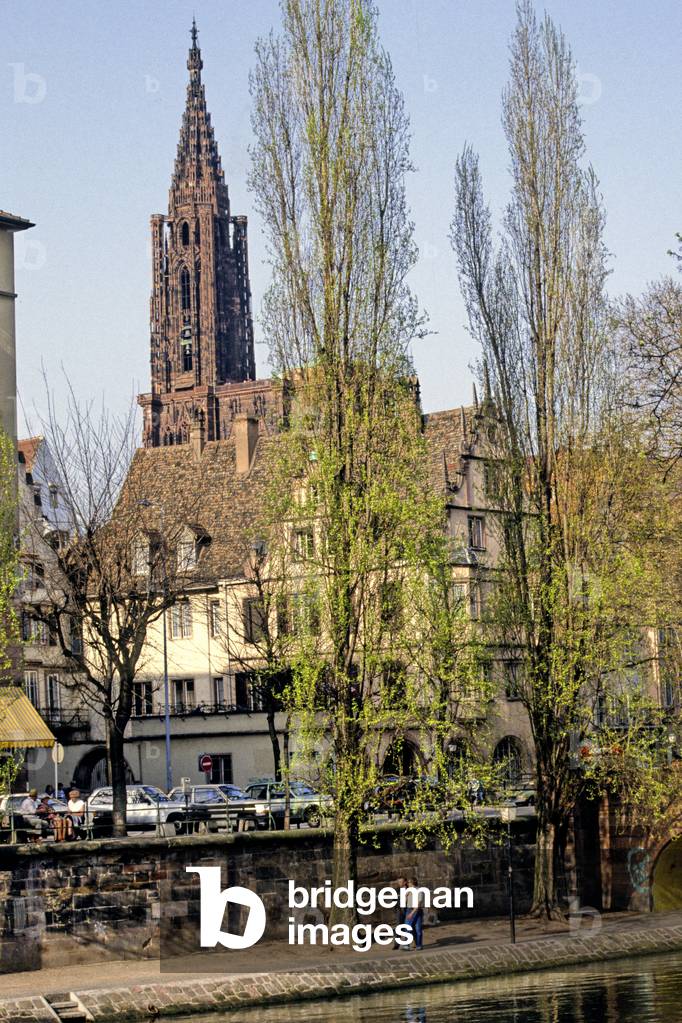 Strasbourg (Alsace), in the background, the Cathedrale Notre Dame de Strasbourg. Photography 04/04/89.
