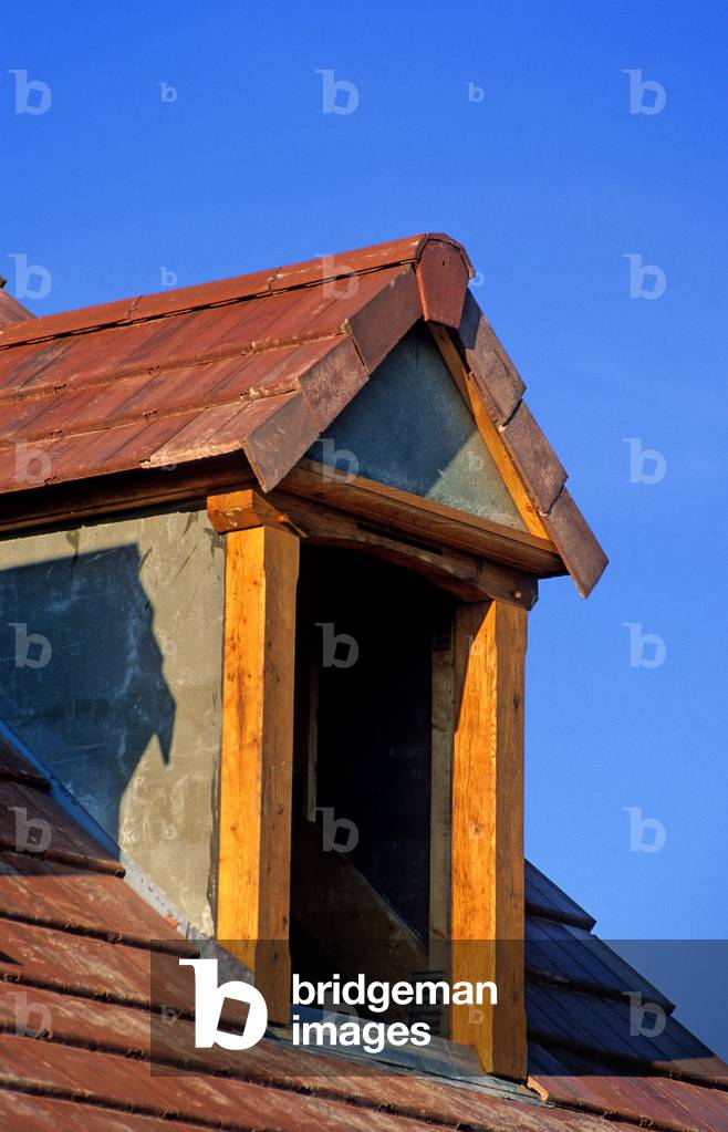 Roof of a single house “” sitting dog””.